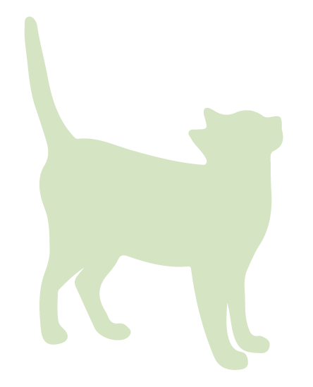 豊富なラインナップ