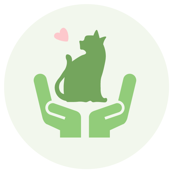 猫雑貨が好きで集めている